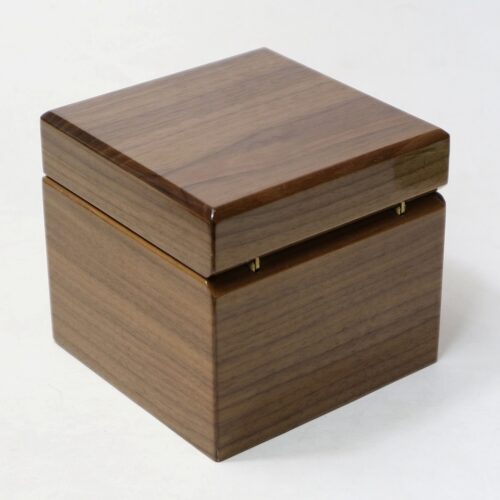 サプライズBOX（L)