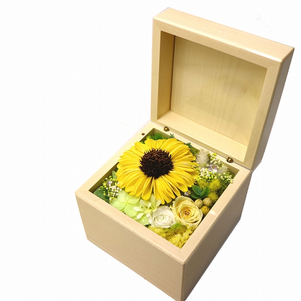 サプライズBOX（L)