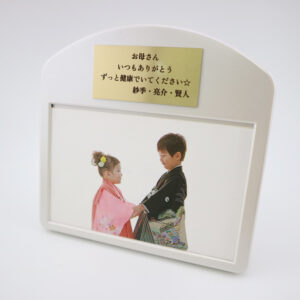 miniplate_sample (42)