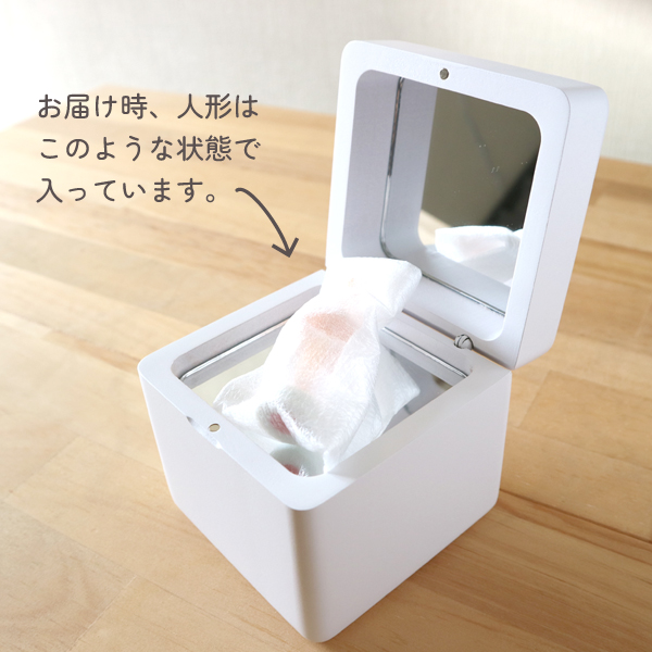 製品画像