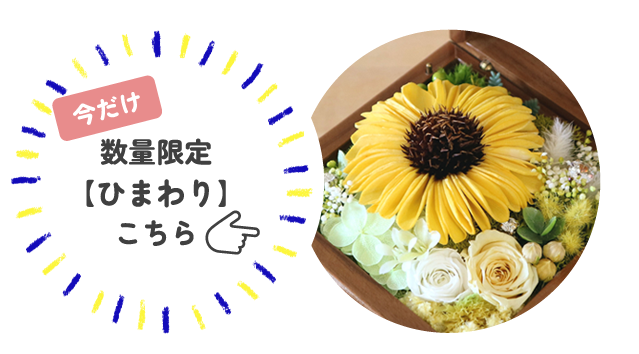 30弁】サプライズBOX（L）オルゴール プリザーブドフラワー付 ｜株式