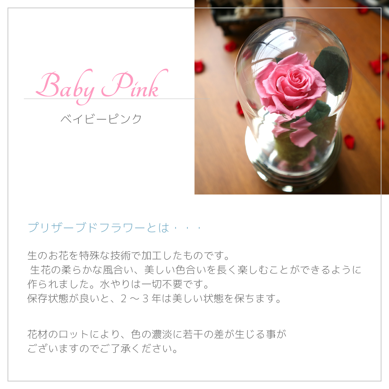 製品画像