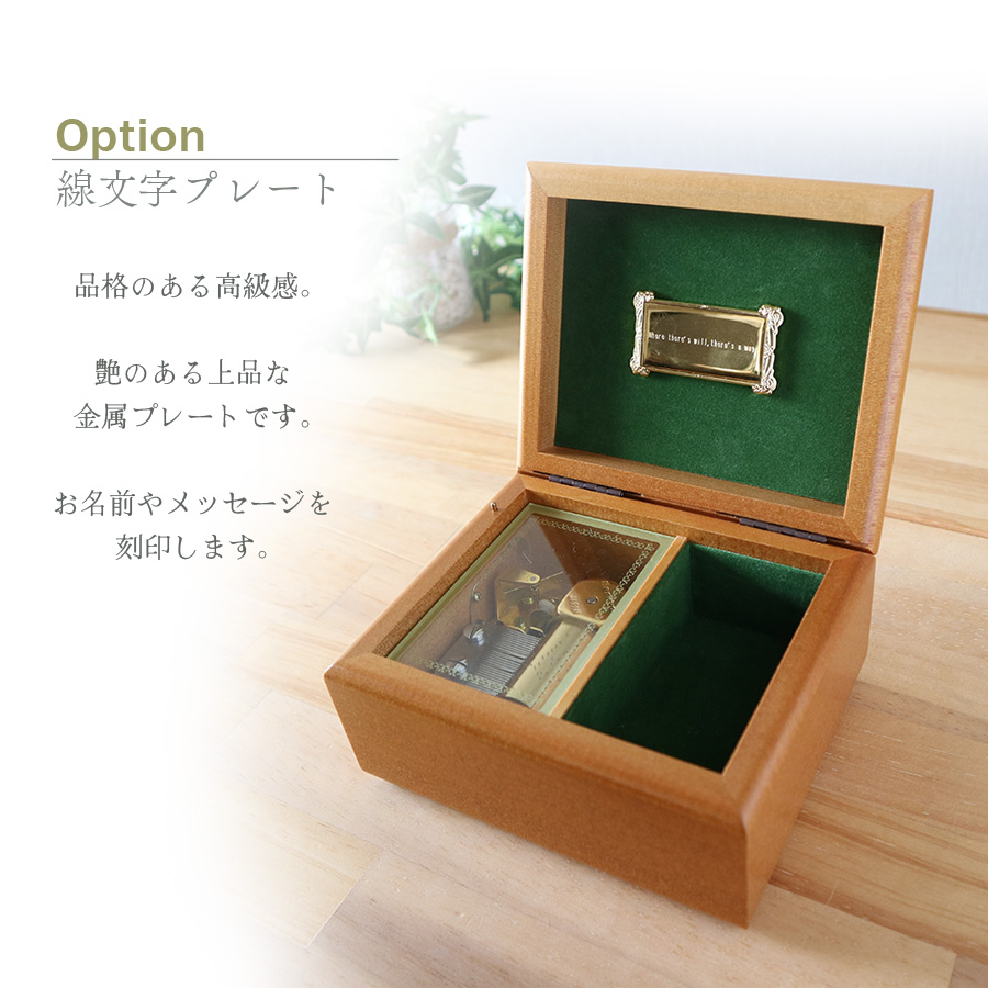 製品画像