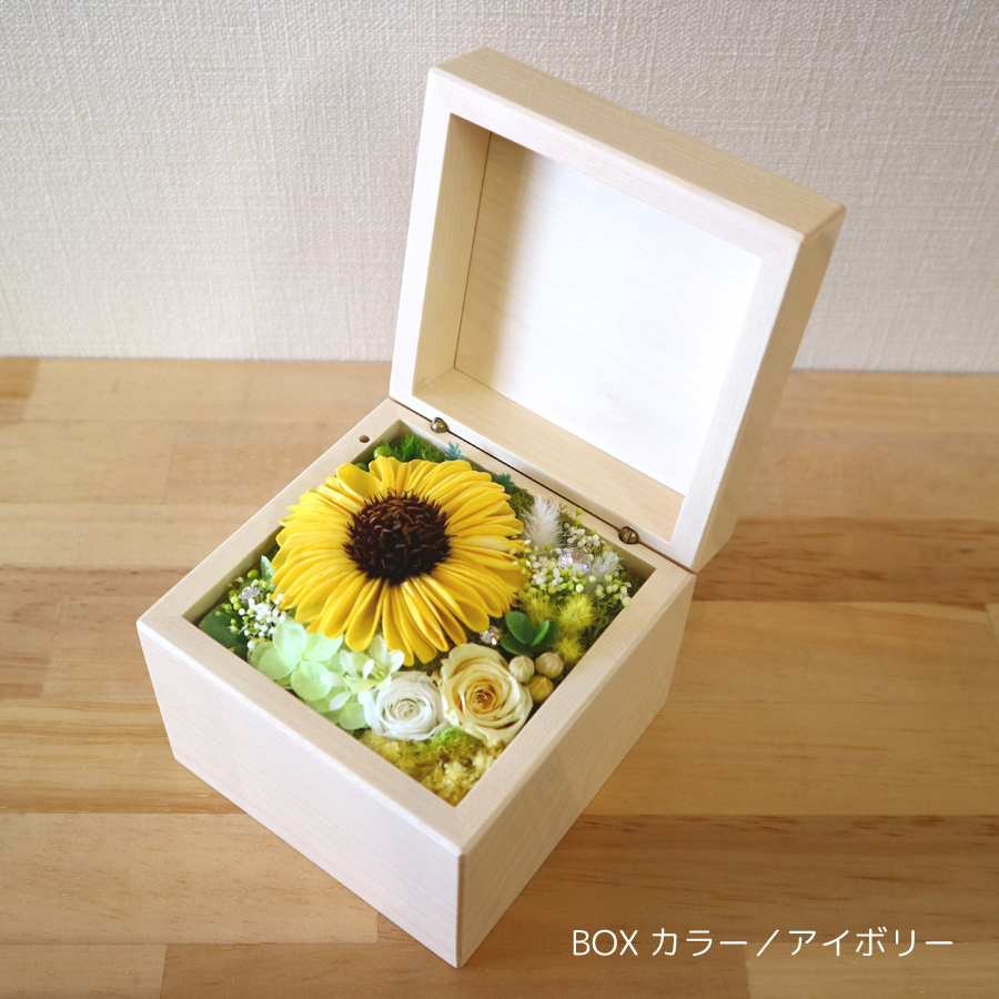 製品画像