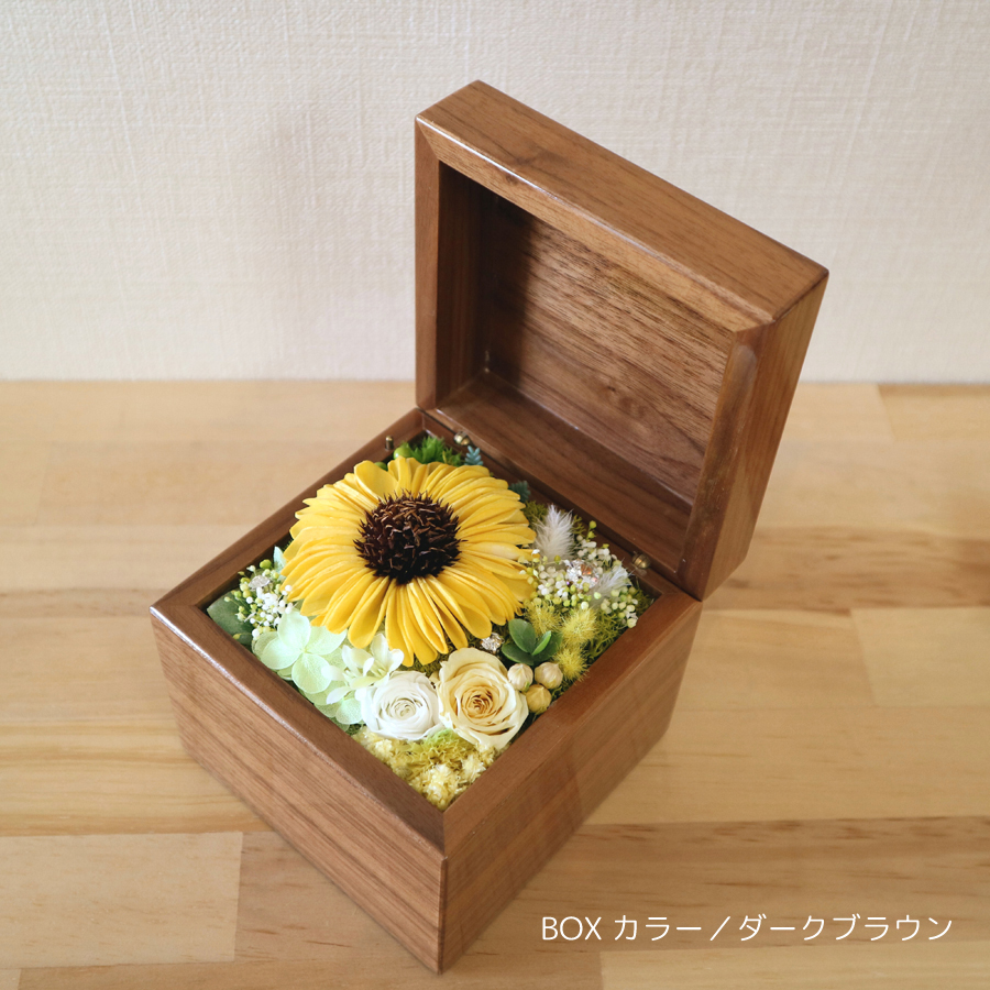 製品画像