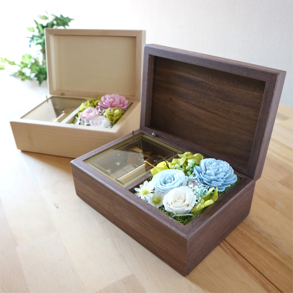 製品画像
