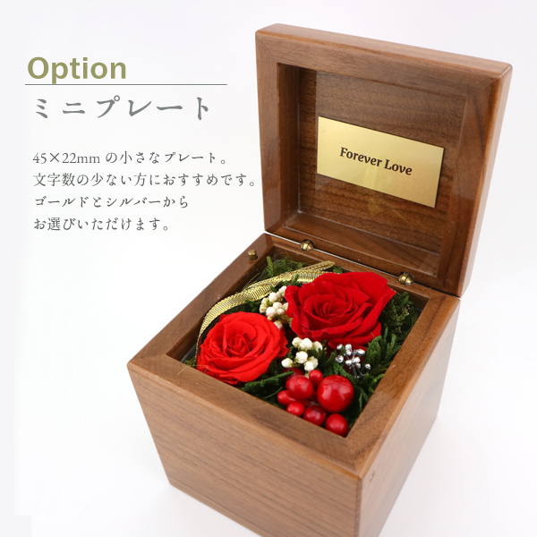 製品画像