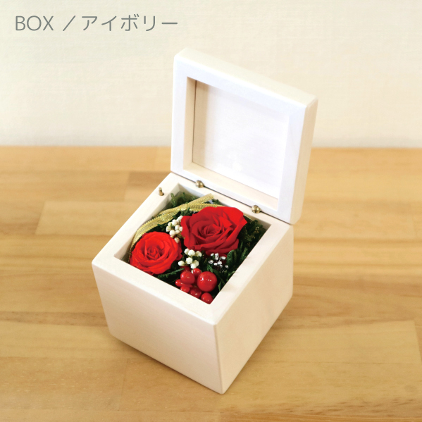 製品画像