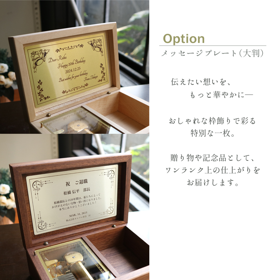 製品画像