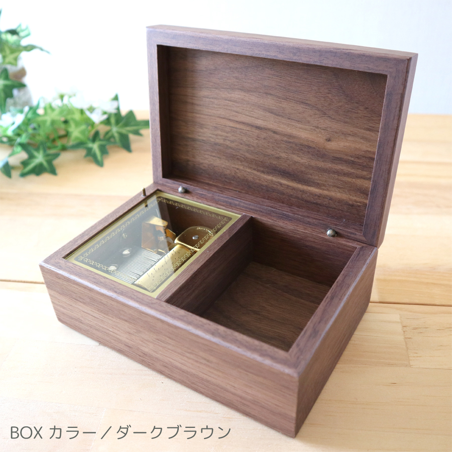 製品画像