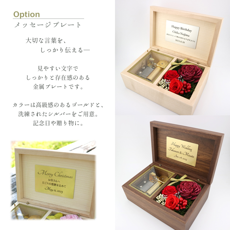 製品画像