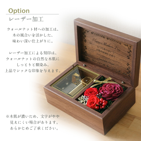 製品画像