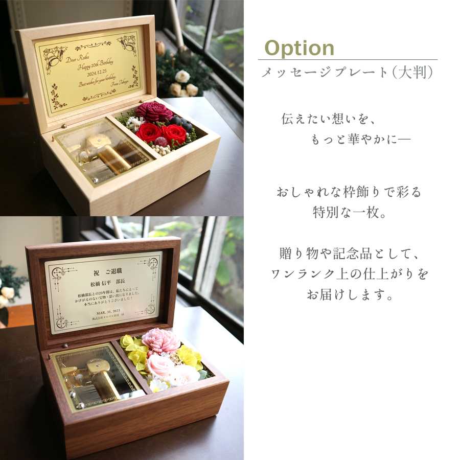 製品画像