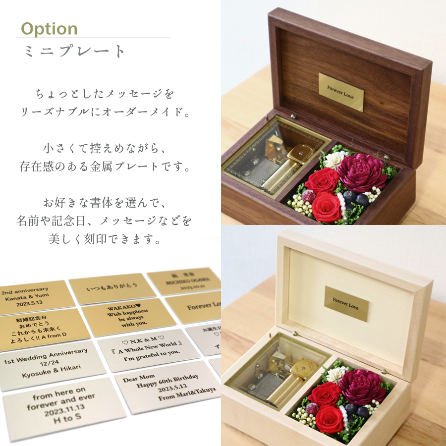 製品画像