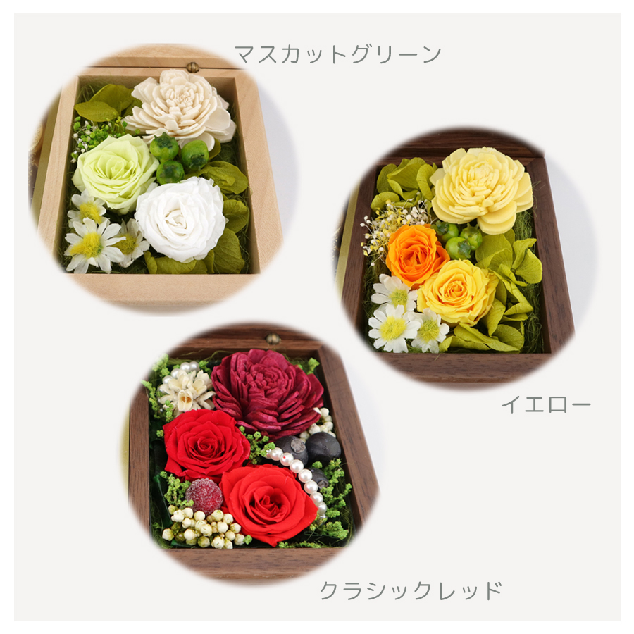 製品画像