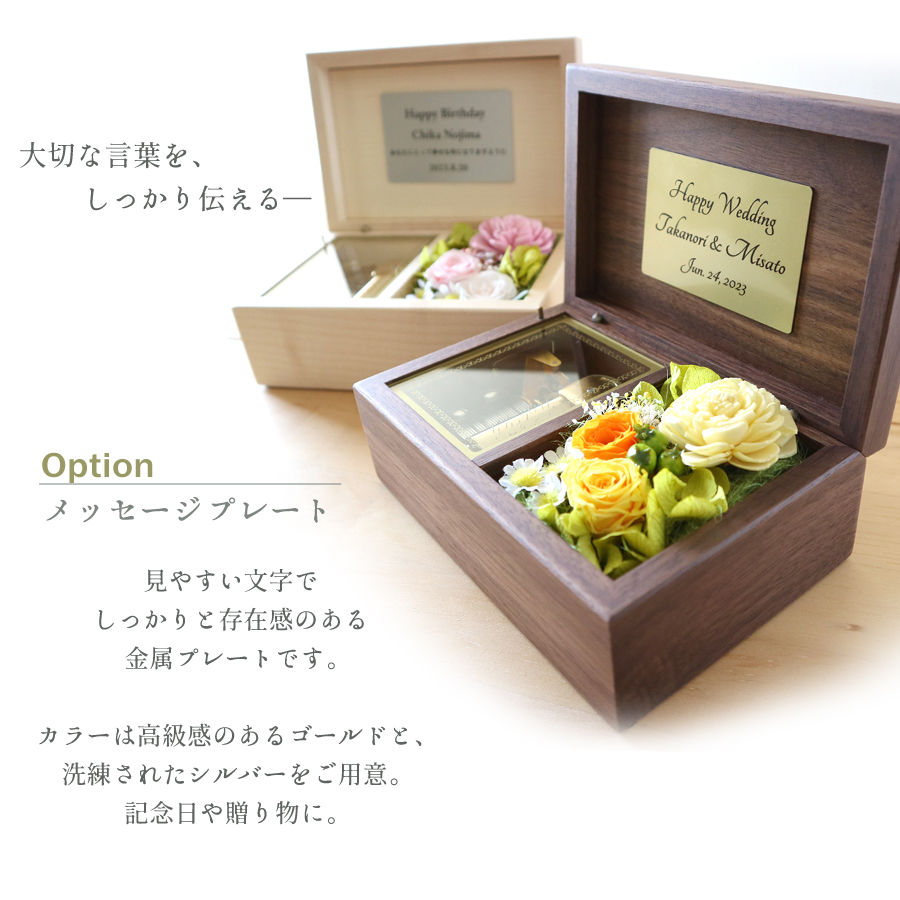 製品画像