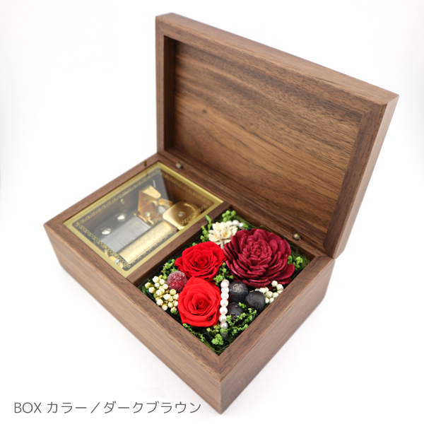 製品画像