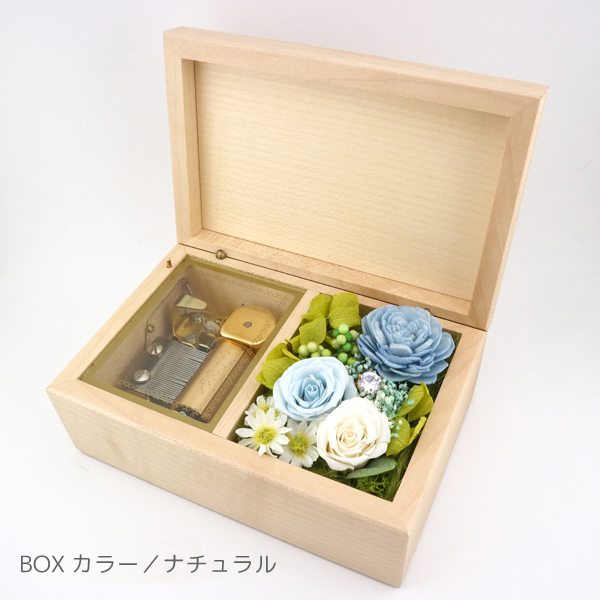 製品画像