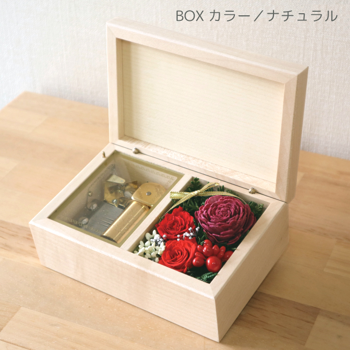 製品画像