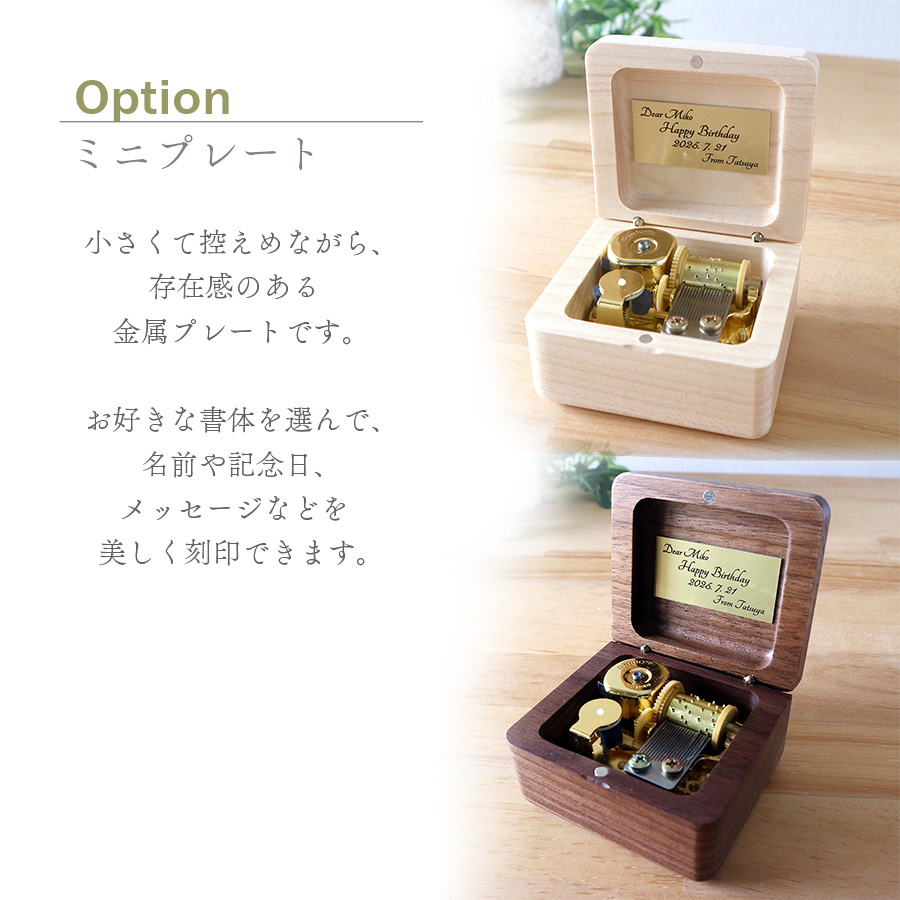 製品画像