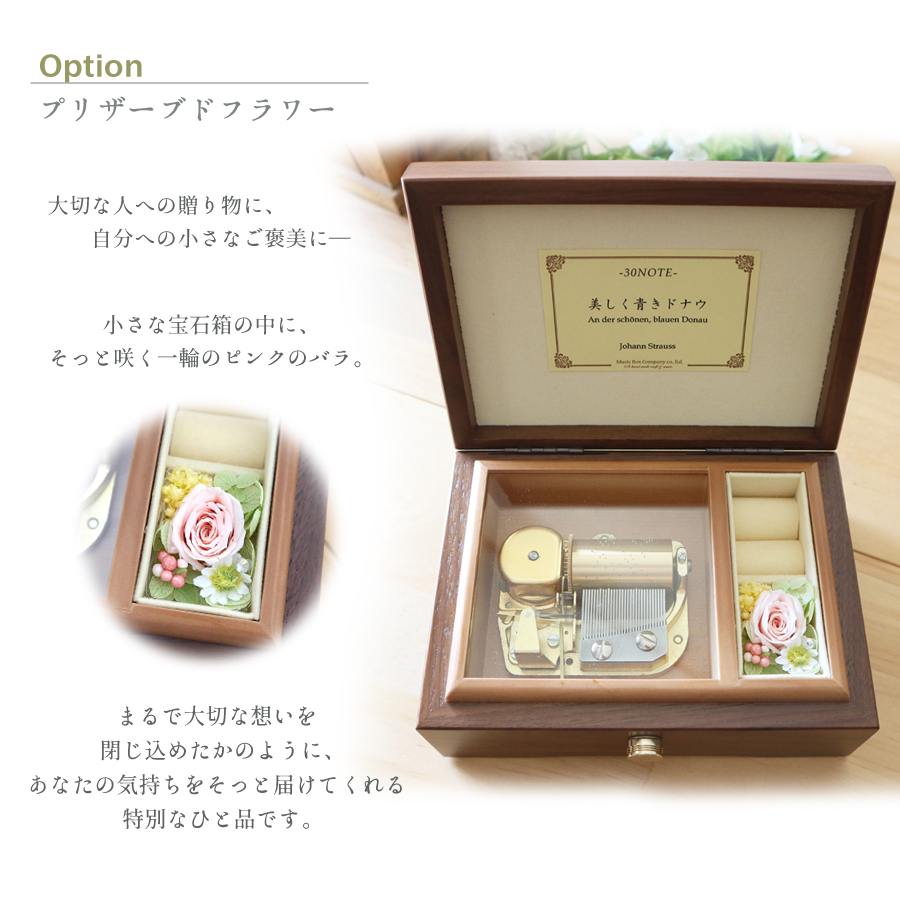 製品画像