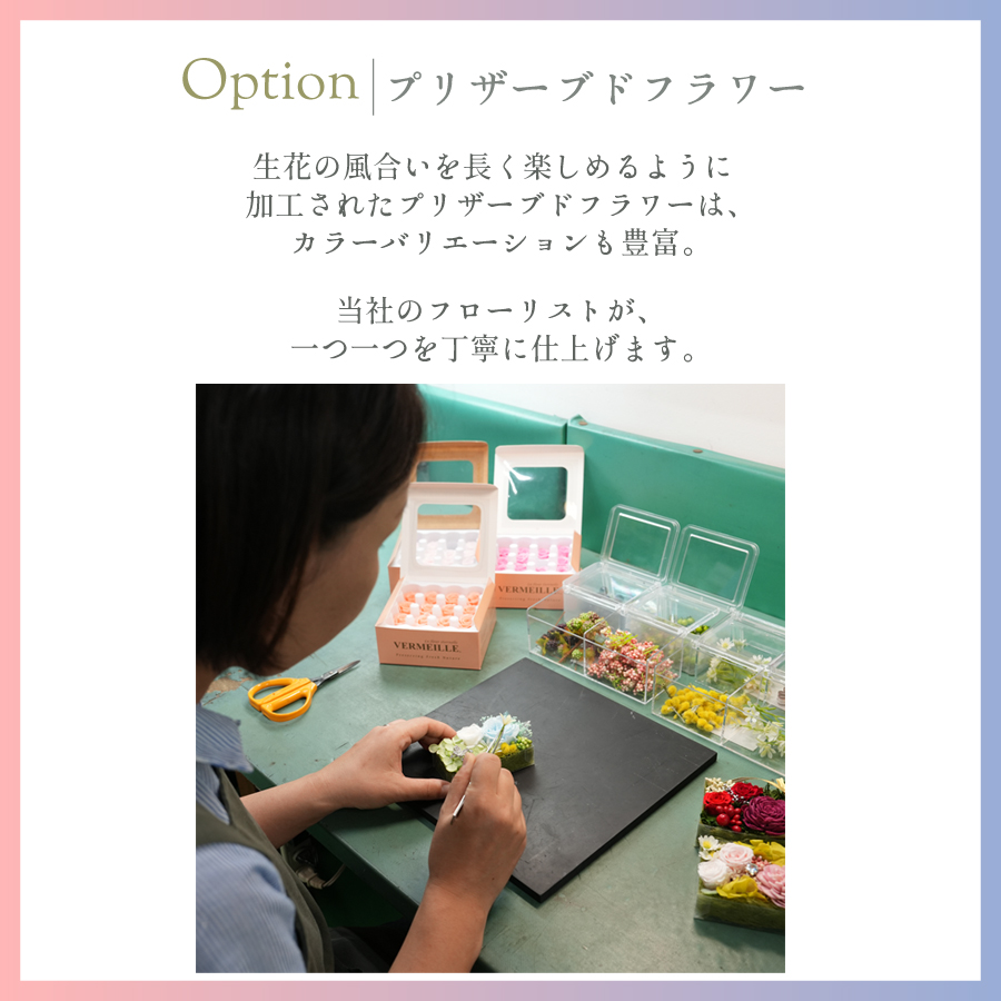 製品画像
