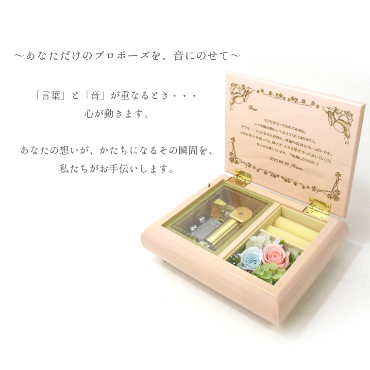 製品画像