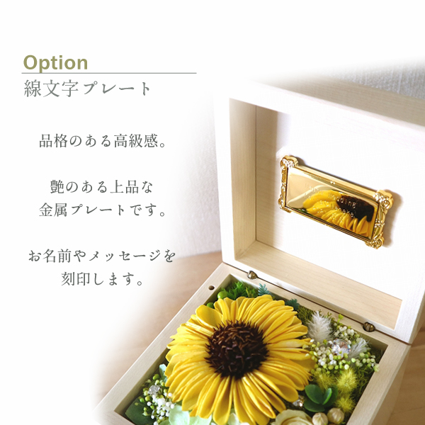 製品画像