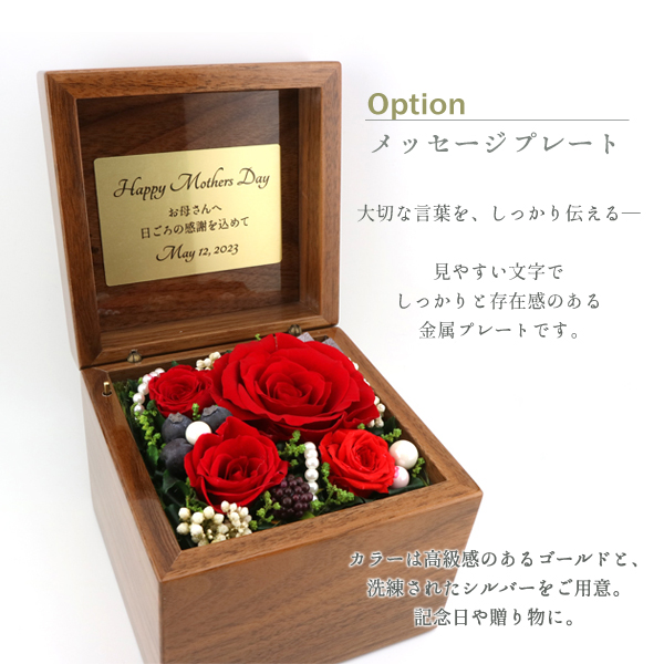 製品画像