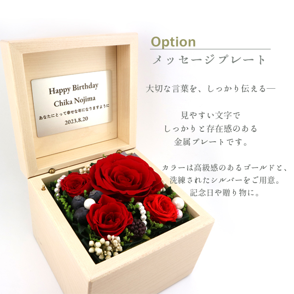 製品画像