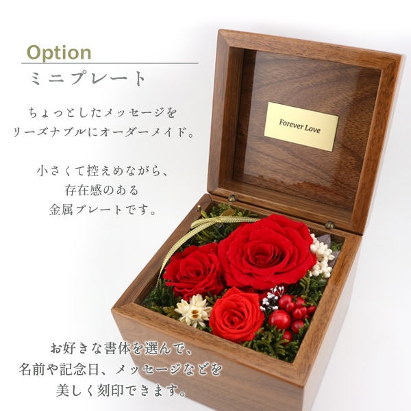 製品画像