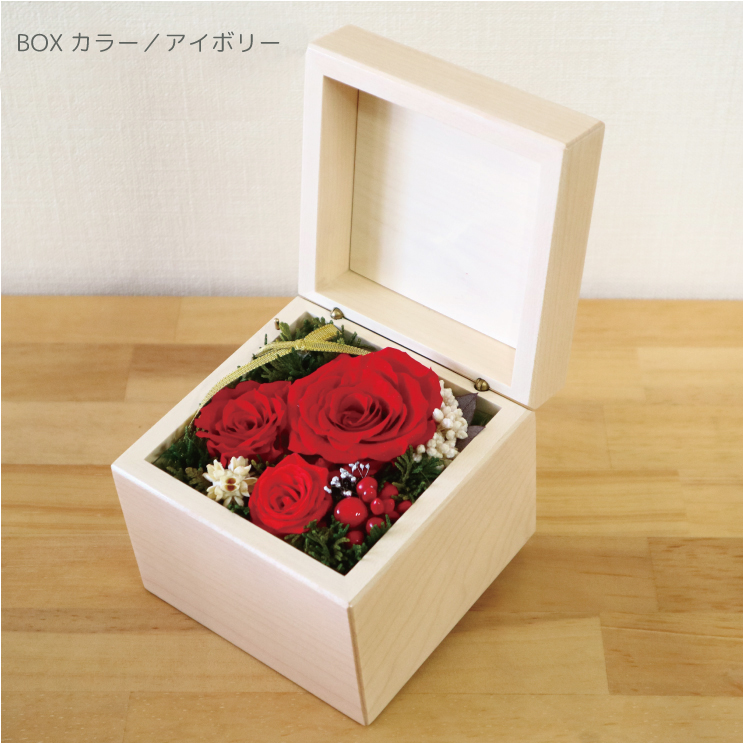 製品画像