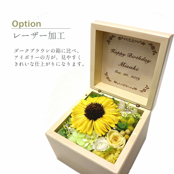 製品画像