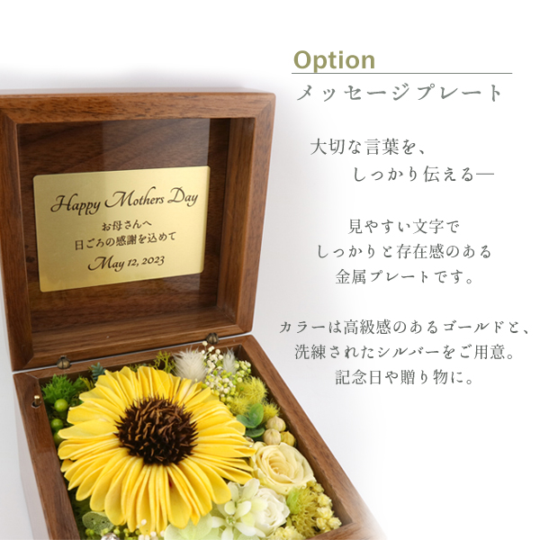 製品画像