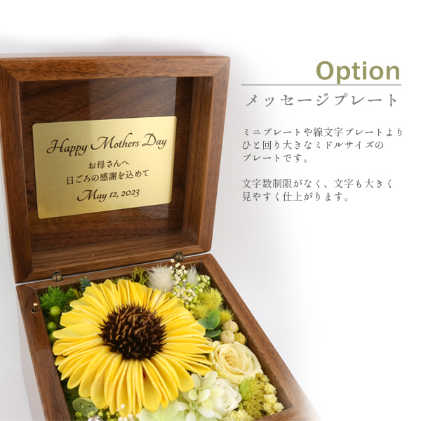製品画像