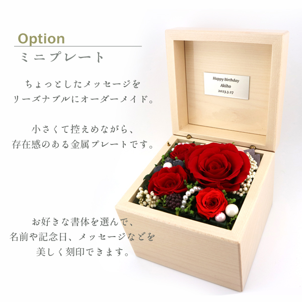 製品画像
