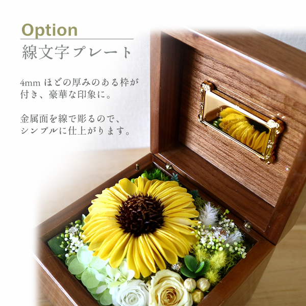 製品画像