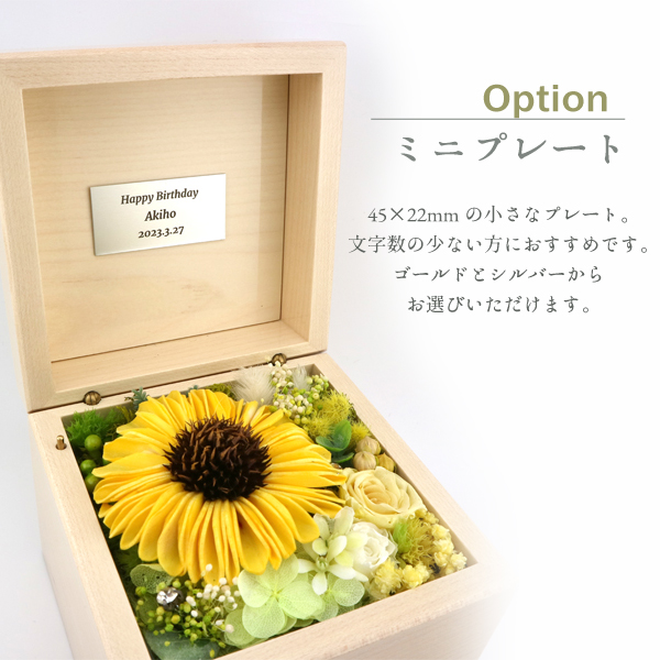 製品画像