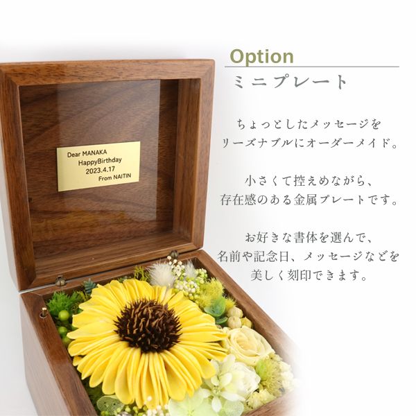 製品画像