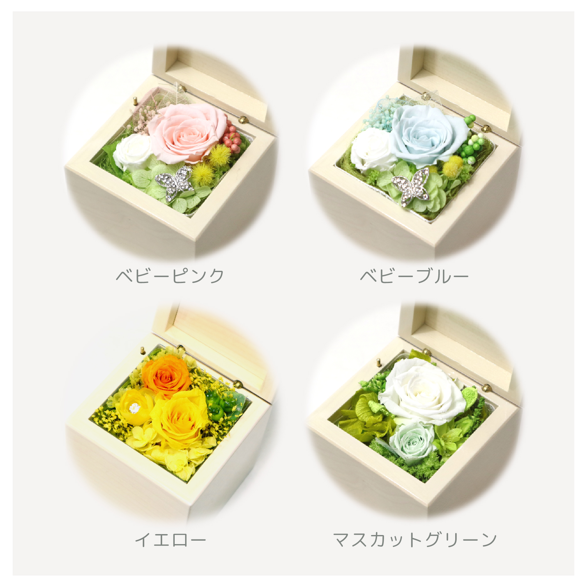 製品画像