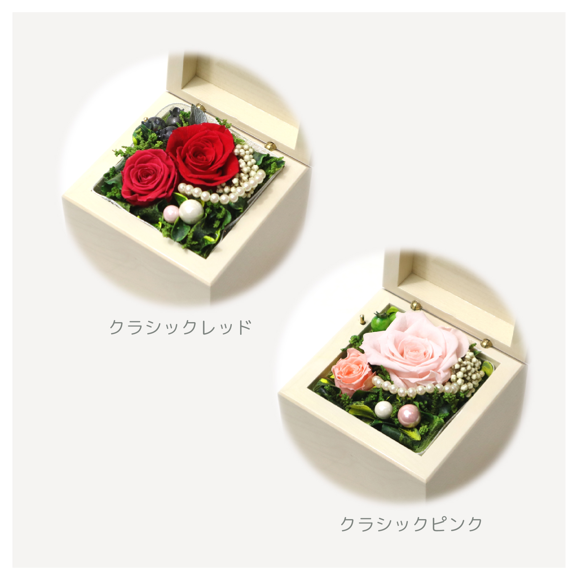 製品画像