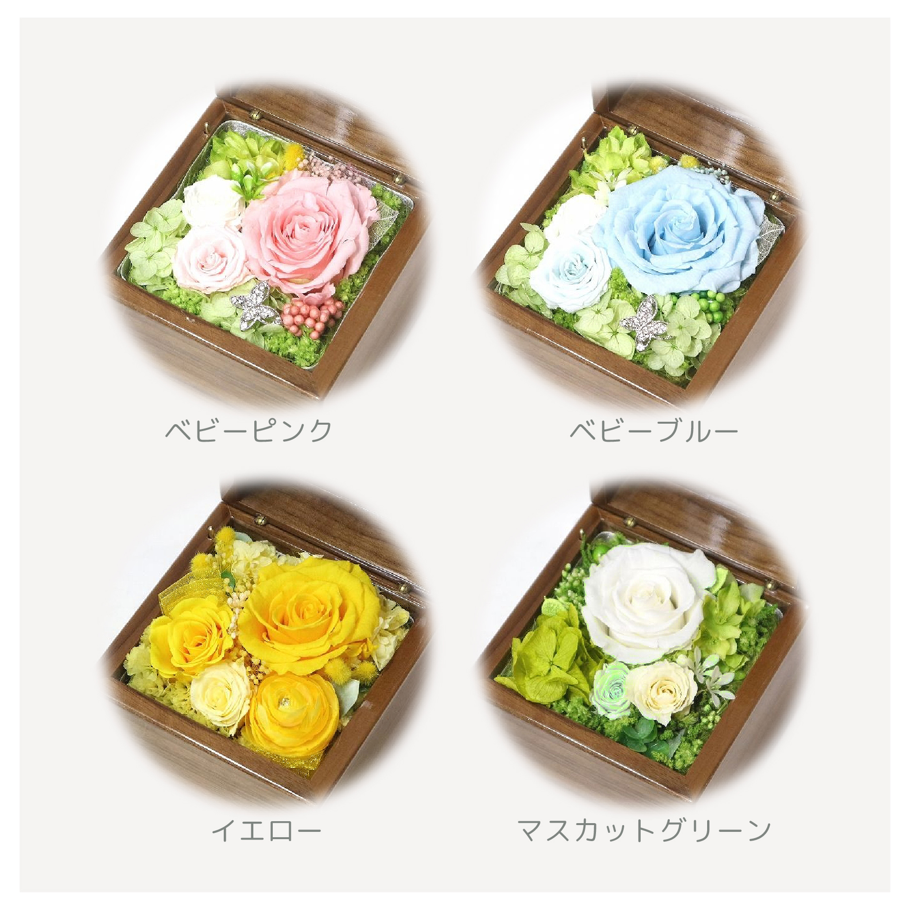 製品画像