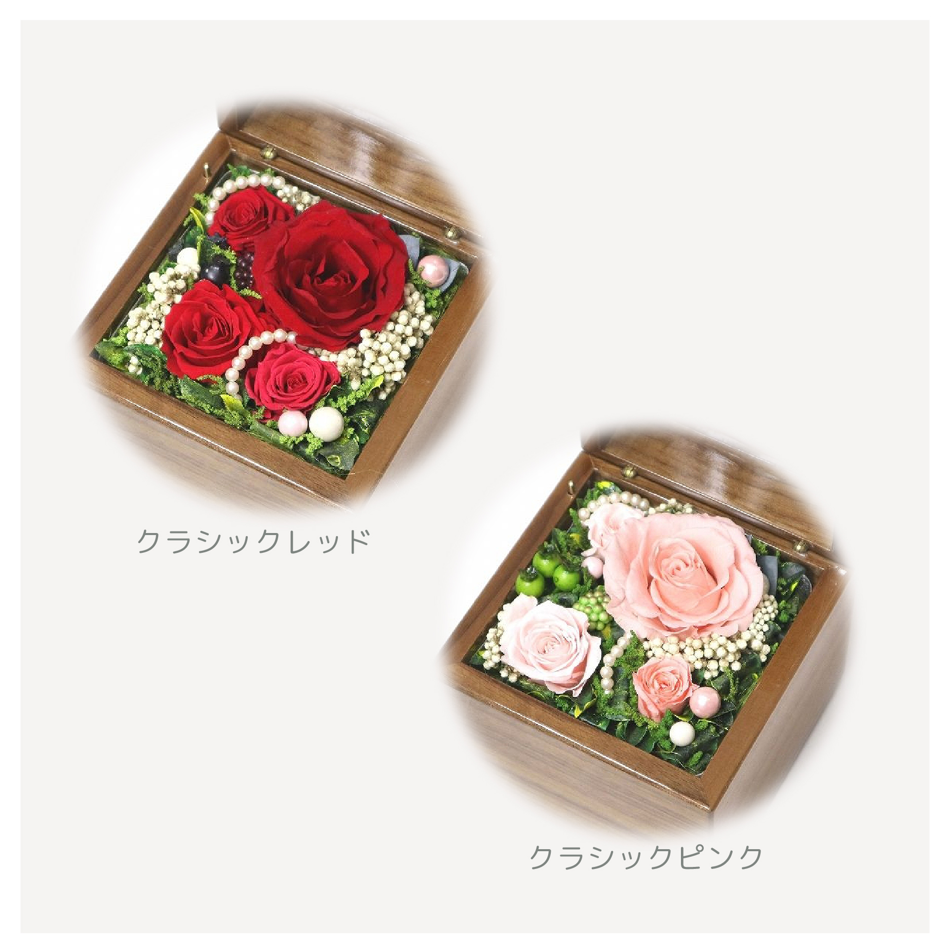 製品画像