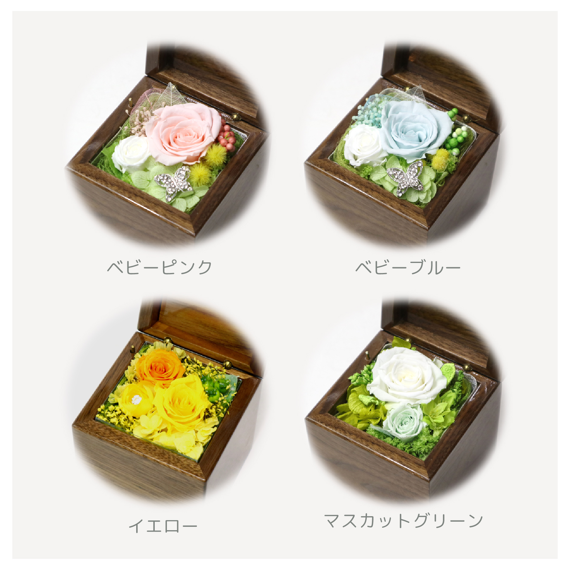 製品画像