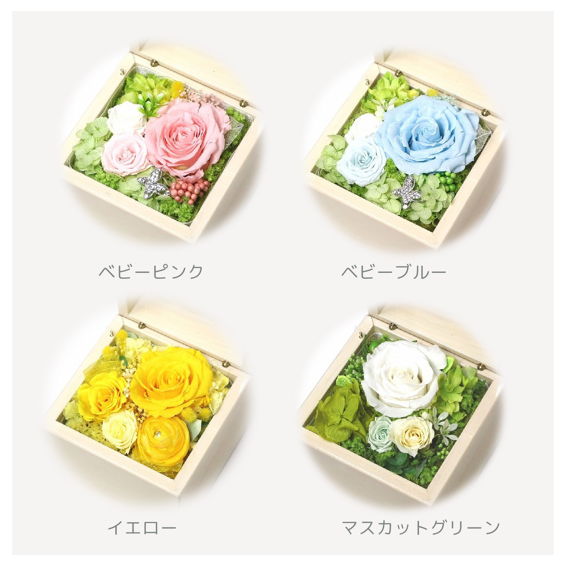 製品画像