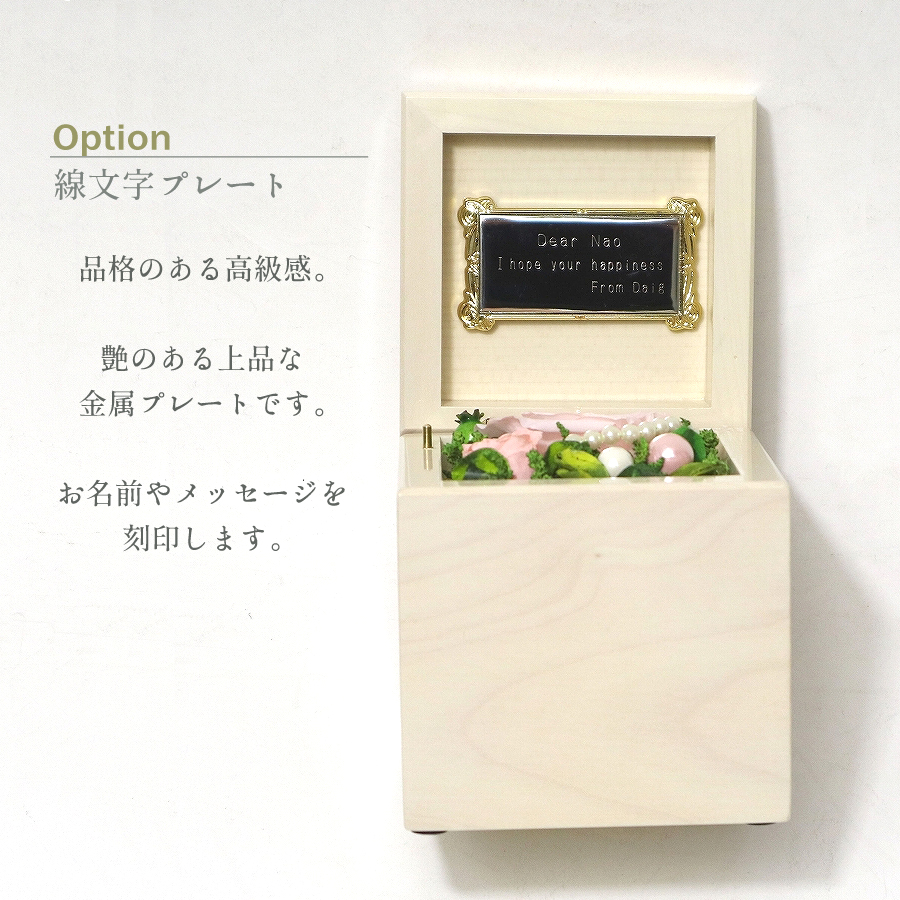 製品画像