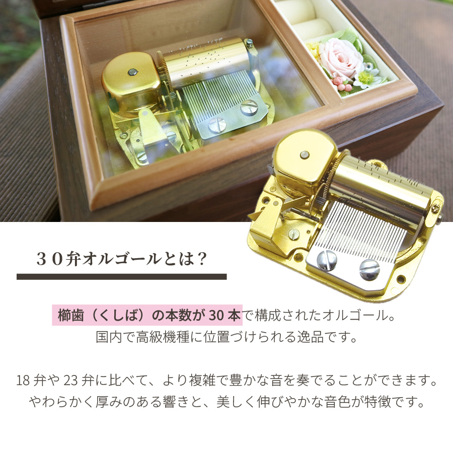 製品画像